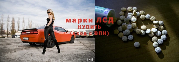 прущие грибы Алзамай